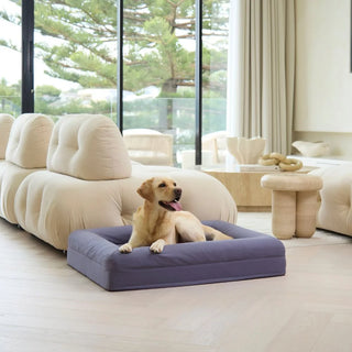 Cooling Dog Bed Midnight Memory Foam Cooling