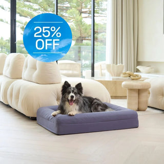 Cooling Dog Bed Midnight Memory Foam Cooling