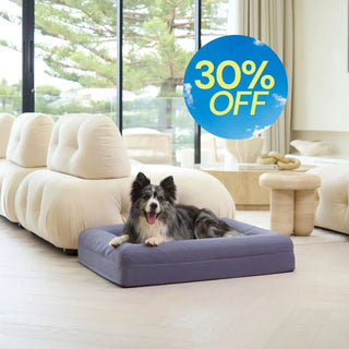 Cooling Dog Bed Midnight Memory Foam Cooling