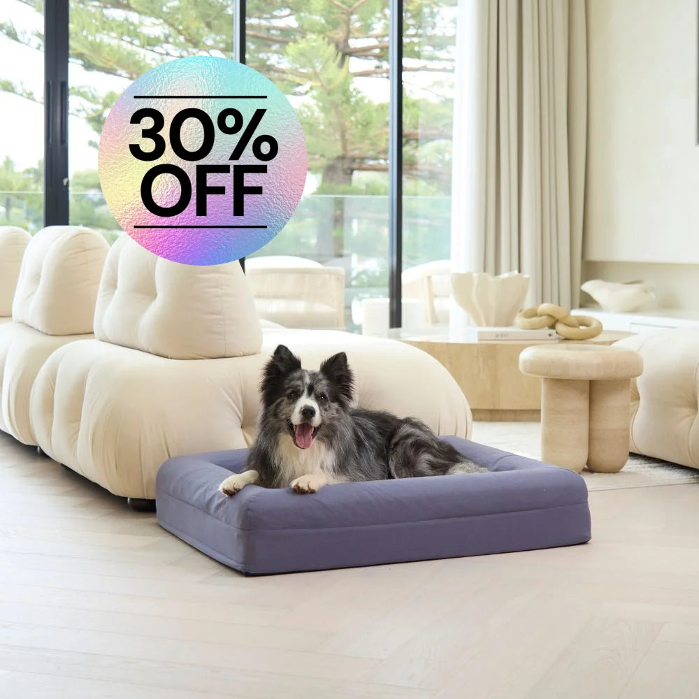 Cooling Dog Bed Midnight Memory Foam Cooling