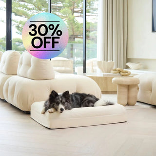 Cooling Dog Bed Natural Memory Foam Cooling