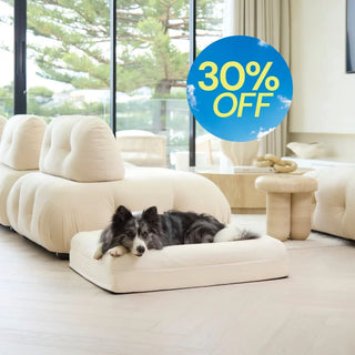 Cooling Dog Bed Natural Memory Foam Cooling