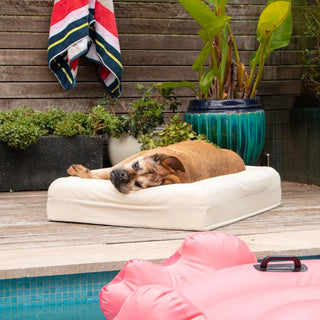 Cooling Dog Bed Natural Memory Foam Cooling
