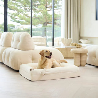 Cooling Dog Bed Natural Memory Foam Cooling