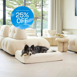 Cooling Dog Bed Natural Memory Foam Cooling