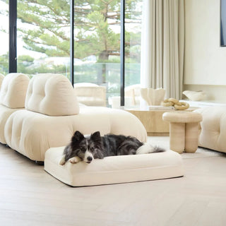 Cooling Dog Bed Natural Memory Foam Cooling