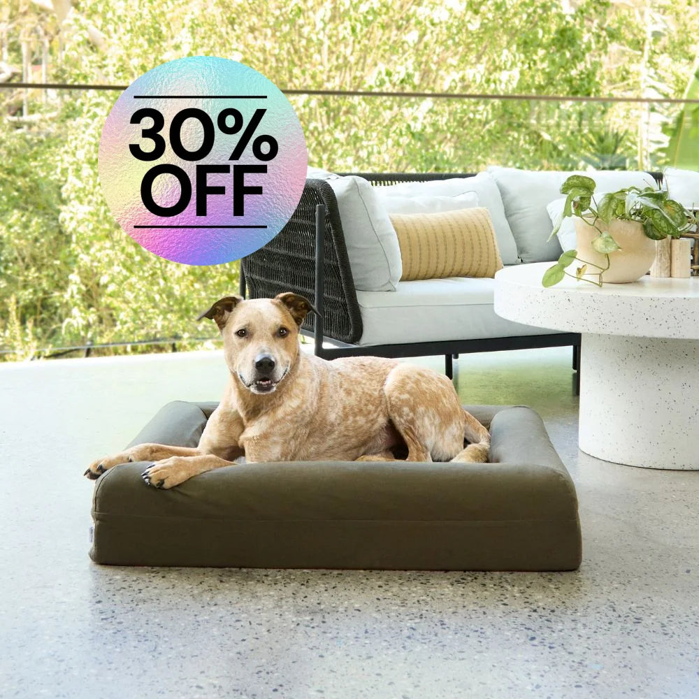 Cooling Dog Bed - Seaweed Memory Foam Cooling