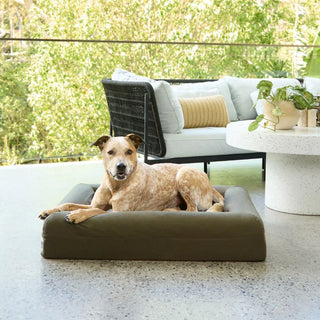 Cooling Dog Bed - Seaweed Memory Foam Cooling