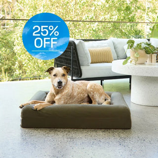 Cooling Dog Bed - Seaweed Memory Foam Cooling