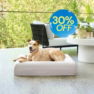 Cooling Dog Bed - Stone Memory Foam Cooling