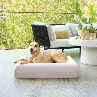 Cooling Dog Bed - Stone Memory Foam Cooling