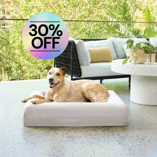 Cooling Dog Bed - Stone Memory Foam Cooling