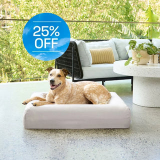 Cooling Dog Bed - Stone Memory Foam Cooling