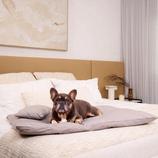 Cooling Lounger - Stone Grey