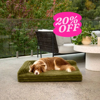 Corner Bed - Puffer Fern - Puffer
