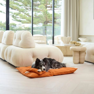 Cotton Lounger - Copper