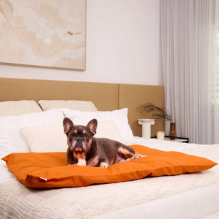 Cotton Lounger - Copper