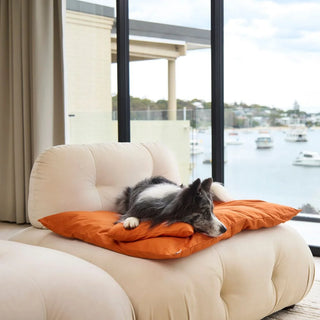 Cotton Lounger - Copper