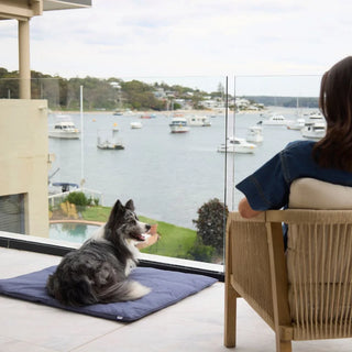 Cotton Lounger Cover - Midnight