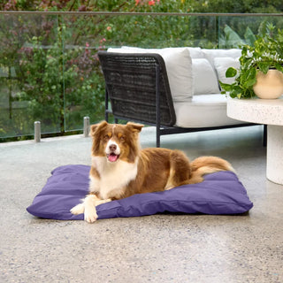 Cotton Lounger - Midnight - Cotton