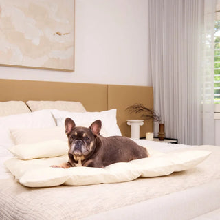 Cotton Lounger - Natural