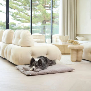Cotton Lounger - Stone Grey