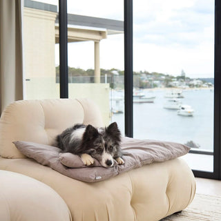 Cotton Lounger - Stone Grey