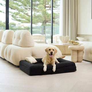 Cotton Pillowcase - Seaweed One Size