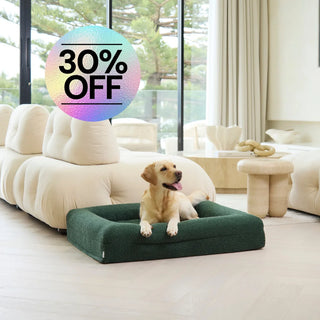 Cover Boucle Forest Cover: Bouclé