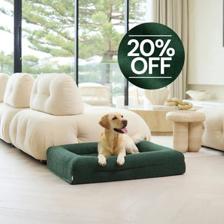 Cover Boucle Forest Cover: Bouclé