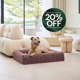 Cover Boucle Speckle Red Cover: Bouclé