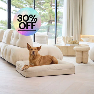 Cover Canvas Sand Cover: Canvas