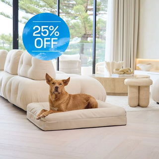 Cover Canvas Sand Cover: Canvas