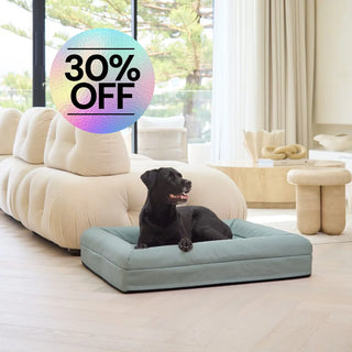 Cover Canvas Seafoam Cover: Canvas