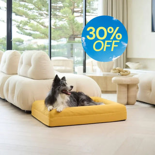 Cooling Dog Bed Amber Memory Foam Cooling