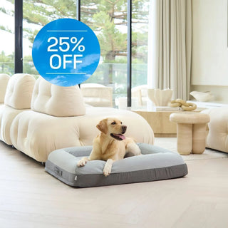 Cover Plush Grey Cover: Plush