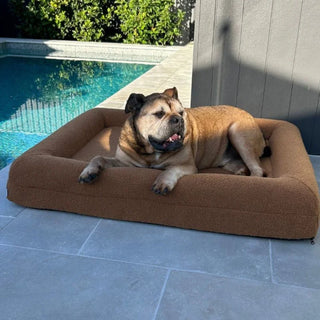 Cover Polar Fleece Golden Brown Cover: Polar Fleece