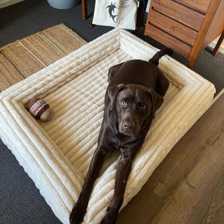 Cover Puffer Bone Cover: Puffer