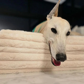 Cover Puffer Bone Cover: Puffer