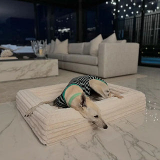 Cover Puffer Bone Cover: Puffer