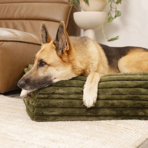 German shepherd resting its head on a green puffer-style crate mat cover.