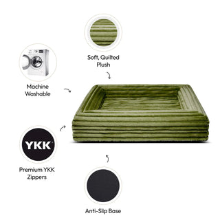 Cover Puffer Fern Cover: Puffer