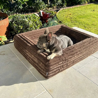 Cover Puffer Truffle Cover: Puffer