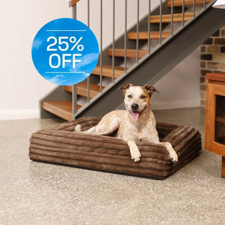 Cover Puffer Truffle Cover: Puffer