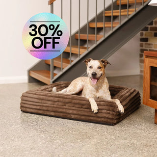 Cover Puffer Truffle Cover: Puffer