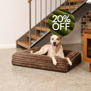 Cover Puffer Truffle Cover: Puffer