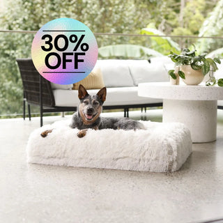 Cover - Quick Shag Cream Quick Cover: Shag