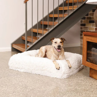 Cover - Quick Shag Cream Quick Cover: Shag