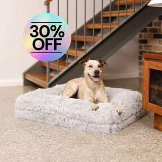 Cover - Quick Shag Grey Quick Cover: Shag