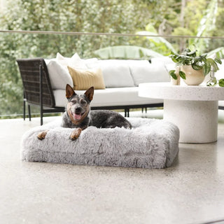 Cover - Quick Shag Grey Quick Cover: Shag